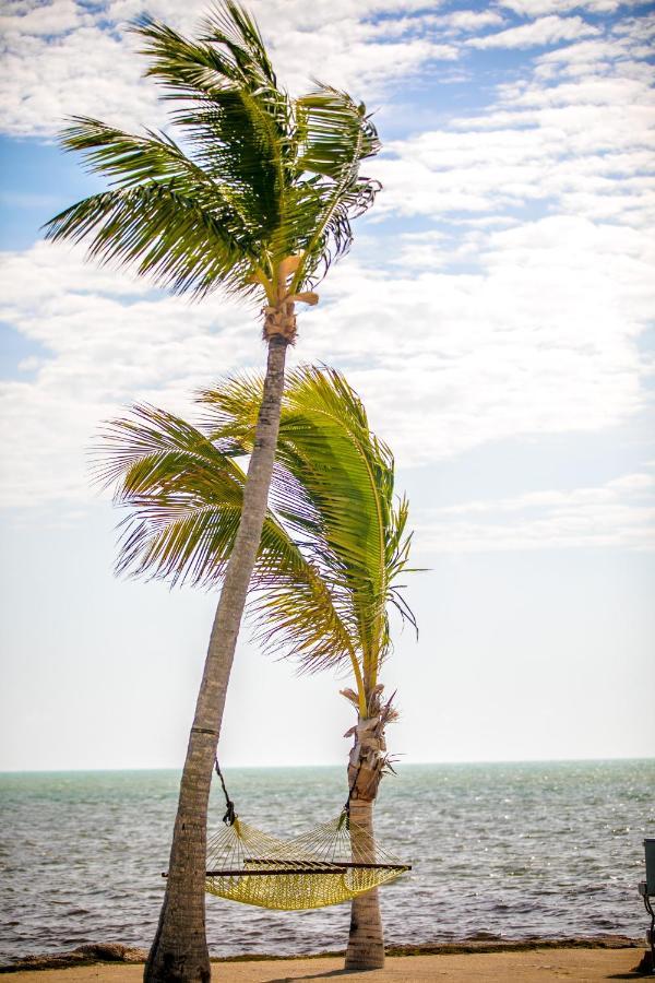 Ragged Edge Resort & Marina Islamorada Dış mekan fotoğraf